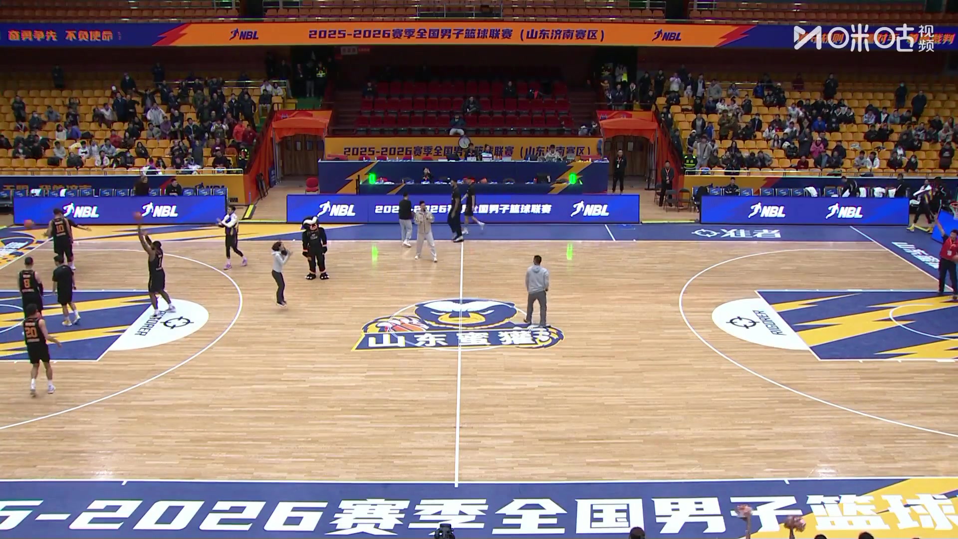 一擲千金！NBL山東蜜獾vs上海玄鳥 球迷半場投籃一擊命中獲2000元