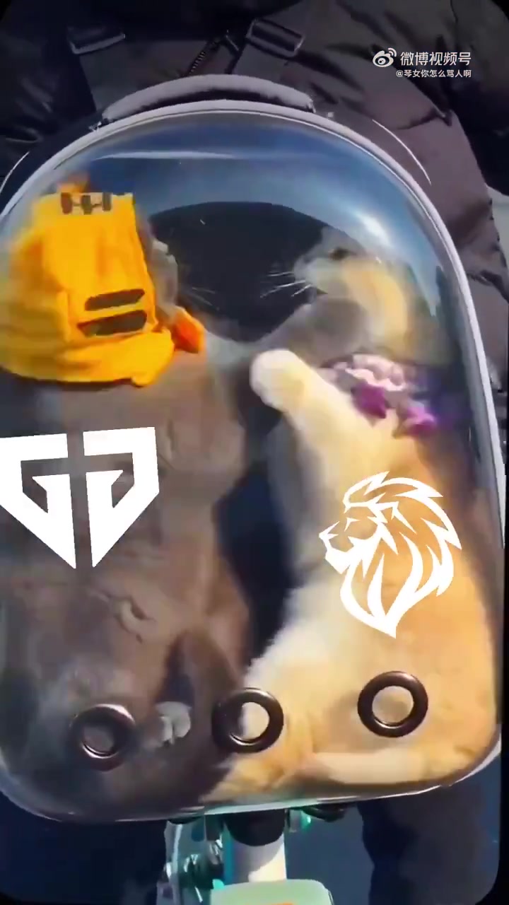 【万博电竞】LYON发布对阵GEN赛前视频：画面可能令人不适 请谨慎观看